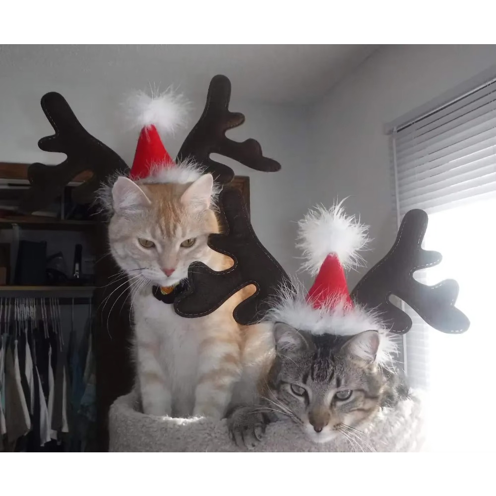 Weihnachtliches Haarband mit R – Reindeer Antlers Headband Bewertung und Preis